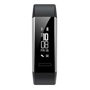 Huawei ERS-B29 Band 2 Pro Activity Tracker