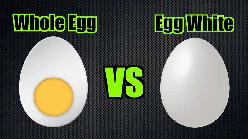 Whole Egg vs Egg White