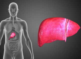 Best Liver Support Supplements in India