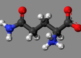 Proven Benefits of Glutamine