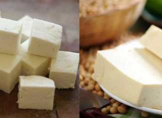 Paneer vs Tofu - Which is Healthier?
