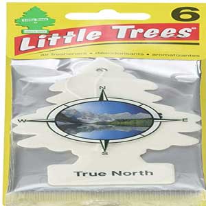 Little Trees Car Air Freshener 6-Pack (True North)