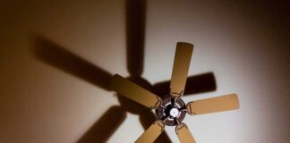 Best Ceiling Fans in India